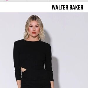 Walter Baker Kalani Dress